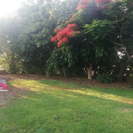 Antonia - Christina * Аргака